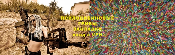 прущие грибы Алзамай