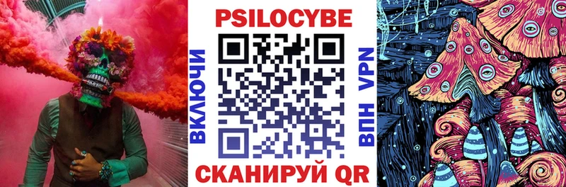 купить закладку  Каменск-Уральский  Псилоцибиновые грибы ЛСД 