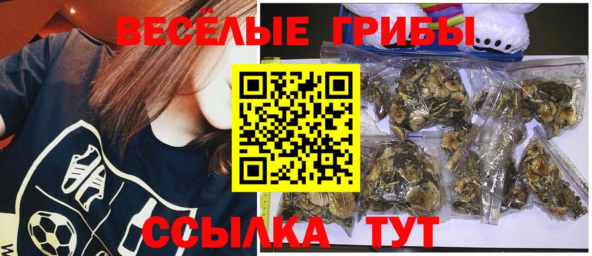 Каменск-Уральский  Псилоцибиновые грибы GOLDEN TEACHER  закладка  Вход с VPN  Псилоцибиновые грибы прущие грибы 