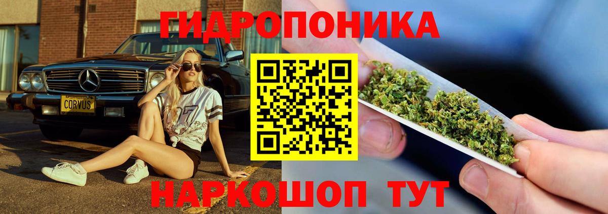 Бошки марихуана сатива  Вход с VPN  Каменск-Уральский  Бошки Шишки план 